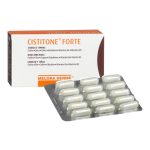 Cogitum Ampolas Bebíveis 250 mg>10 ml x 20