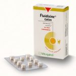 Fortekor Comprimidos Palatável 2,5 mg x 28