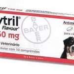 Baytril Palatável Comprimidos Cão 50 mg x 10 - 10Kg Baytril Palatável Comprimidos Cão 50 mg x 10 - 10Kg