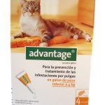 Advantage Gato Solução Unção Menos 4 Kg 0,4 ml x 4