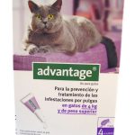 Advantage Gato Solução Unção Menos 4 Kg 0,4 ml x 4