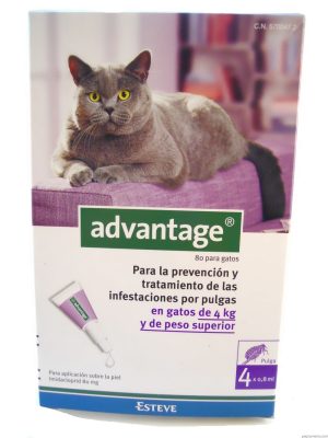 Advantage Gato Solução Unção 4-8 Kg 0,8 ml x 4