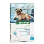 Zoviprotect Penso Transparente x 19