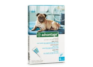 Advantage Cão Solução Unção 4-10 Kg 1 ml x 4