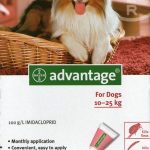 Advantage Cão Solução Unção 4-10 Kg 1 ml x 4