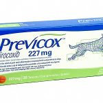 Previcox Comprimidos 227 mg x 10